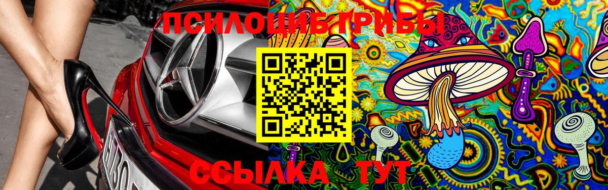 Гудермес  Галлюциногенные грибы Magic Shrooms  купить закладку  Вход с VPN 